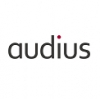 audius:CRM+ERP for production and trade