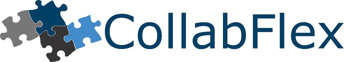 Firmenlogo CollabFlex Software GmbH Berlin
