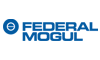 Federal Mogul