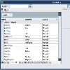 desktop-gesteuerte CTI Applikation (barrierefrei)