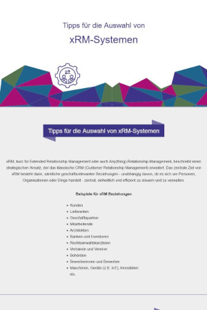 Infografik - Tipps für die Auswahl von xRM-Systemen