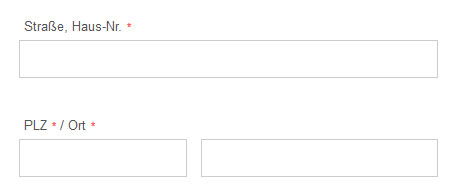 Beispielansicht für obligatorische Felder