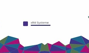 Video mit Auswahltipps zu xRM