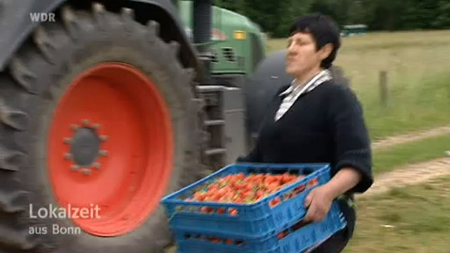 Erzeugermanagement bei der Lebensmittelherstellung