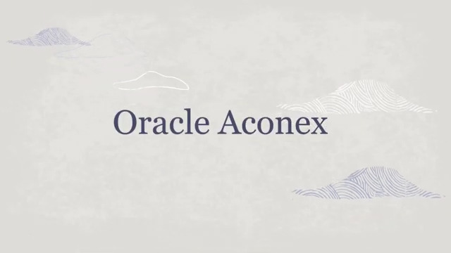 Bewährte Projektabwicklung und -kontrolle mit Oracle Aconex