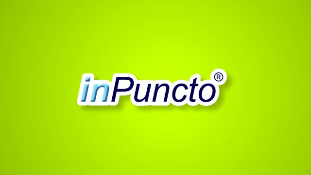 SAP Lösungen & SAP Produkte von inPuncto: Tutorial-Überblick